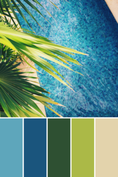 Summer Color Palettes – This Growing Home