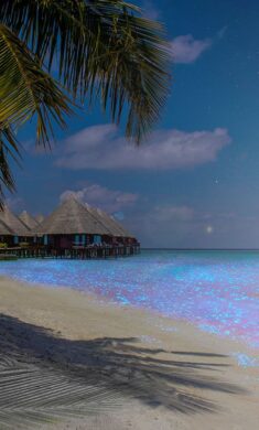 The Maldives Glowing Beach at Night