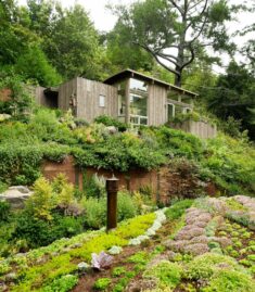 Top 5 Cabins of the Week That Would Be Perfect For Forest Bathing