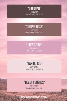 17 Beautiful Pink Color Palettes for Your Next Designs + 6 Mood Boards