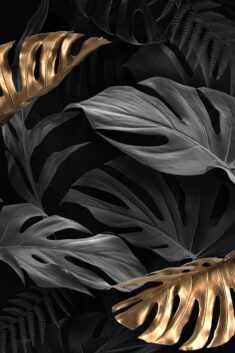 Download premium image of Gold and black Monstera Deliciosa leaves by Nunny about black gold lea ...