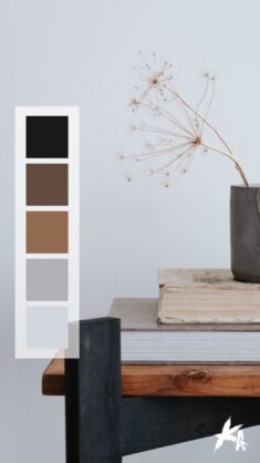 Earthy Natural Brown Color Palette