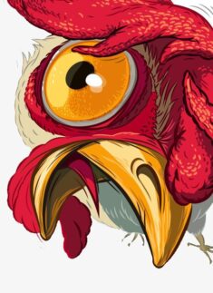 Exaggerated Male Chicken Illustration PNG Images,  Phone, Red, Funny PNG Transparent Background  ...