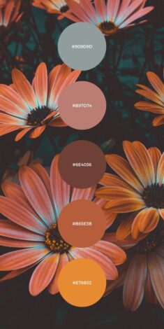 Fall Color Palette – 20 Gorgeous Fall Colors in 2023 | Fall color palette, Color schemes c ...