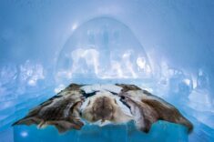 Icehotel 2016 opens with animal and film-themed suites