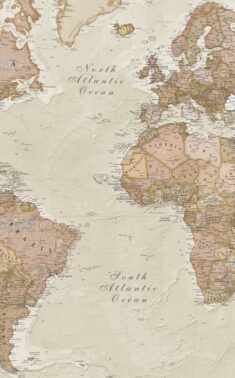 Maps Int World 30M pol antique
