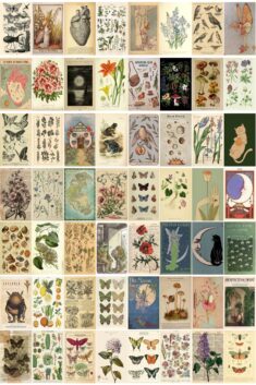 PRINTED vintage botanical poster wall collage kit – fairy garden kit – fairycore -ro ...