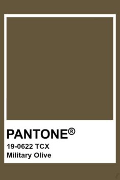 Pantone’s 2020 Colors for Fall/Winter And How To Wear Them