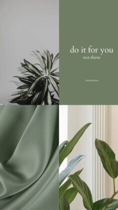 Pastel green | Green aesthetic tumblr, Mint green aesthetic, Iphone wallpaper