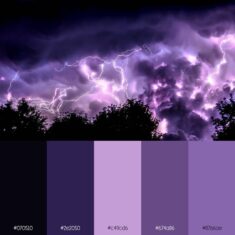 Purple Lightening