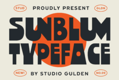 SG Sunblum Font – YouWorkForThem