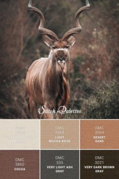 South African Kudu – Embroidery Color Palette From Photo