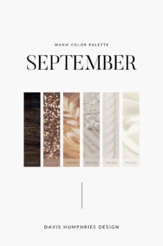 Warm Neutrals | Monochrome Nude Brown Tan Cream | September Fall Autumn Website Color Palette
