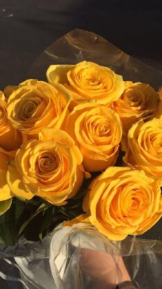gelbe ästhetische gelbe Blumen Grunge Pastell 𝙥𝙝𝙤𝙩𝙤 𝙥𝙝𝙤… ,  #Ästhetische #Blumen #gelbe #g ...