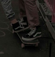 skateboards~