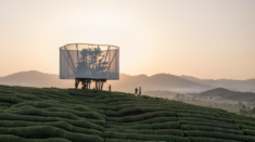 Ma Yansong creates lantern-like artwork in rural Chinese tea field