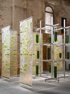Bit.Bio.Bot exhibition shows how algae can be used as air purifiers and protein source