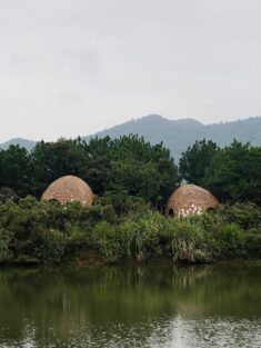 The Seeds are a group of shingle-clad pods nestled in a Chinese forest