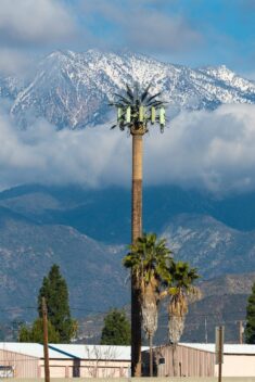 Annette LeMay Burke documents cell towers disguised as palm trees and crosses