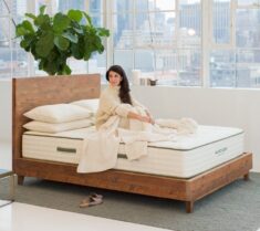Avocado Natural Wood Bed Frame by Avocado Green Mattress