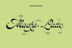 ED Mentasta – Script Typeface – App License