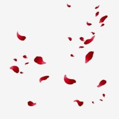 Floating Rose Petals PNG Picture, Romantic Floating Rose Petals, Romantic, Floating PNG Image Fo ...
