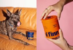 How Gander Designed A Pet Wellness Brand For The Modern Pup