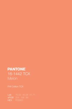 PANTONE 16-1442 TCX Melon Color Code Lab sRGB HEX