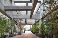 Sou Fujimoto adds giant atrium and green hill to renovated Shiroiya Hotel