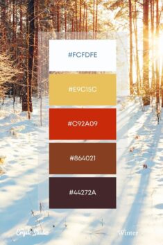 Winter Color Palettes (1/9)