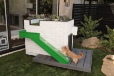 Modern Doghouses by Pijuan Design Works and Alison Victoria