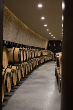 Philippe Starck and Luc Arsène-Henry build wine cellar for Château les Carmes Haut-Brion