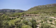 Terra Dominicata Hotel & Winery Landscape Intervention / SCOB