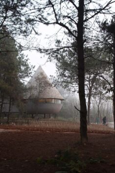 The Mushroom, A Wood House in the Forest / ZJJZ