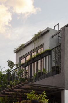 Concrete Jungle House / N O T Architecture