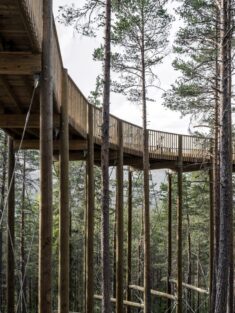 EFFEKT creates treetop walkway accessible to “all nature lovers”