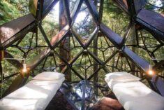You Can Have Your Very Own Geodesic Pinecone Tree House For $150K