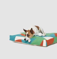 Dusen Dusen Terra Dog Bed by Need Supply Co.