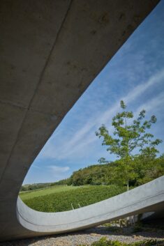 Aleš Fiala blends Czech winery into landscape beneath curved green roof