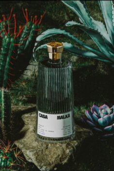 Casa Malka’s Visually Compelling And Balanced Identity