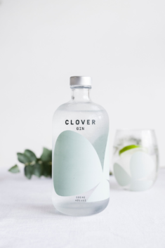 35 Gorgeous Gin Packaging Designs