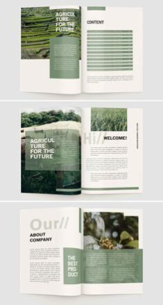 Agriculture Company Profile Template InDesign – ksioks