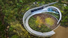 Garden Cafe / Steyn Studio + Meyer & Associates Architects + Square One Landscape Architects