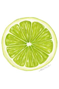 Lime Food Illustration – Maral Varolian