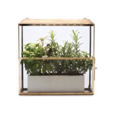Modern Sprout Brass Grow-Anywhere Growhouse by Food52