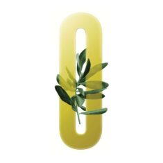 Olynthia Olive Oil – Logo Database