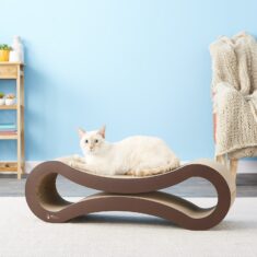PetFusion Ultimate Cat Scratcher Lounge by Chewy