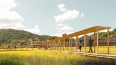 Rice Pavilion / Wiki World + Advanced Architecture Lab