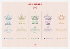 Tea Amo – Speciality Healing Teas