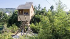 Tower for Meditation and Views / Jumping House Lab